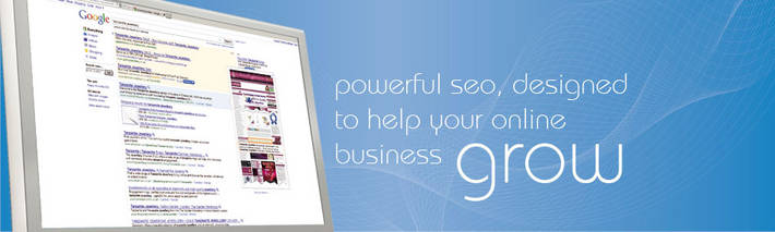 Powerful SEO techniques designed to help your online business grow